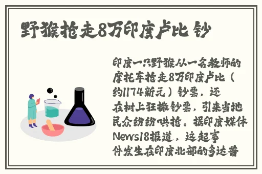 4399在线观看免费高清完整版
